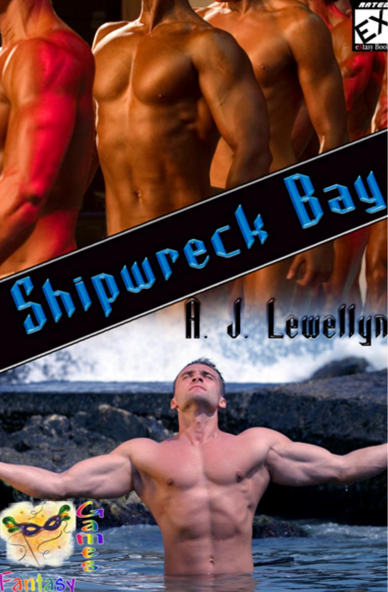 Shipwreck bay by AJ Llewellyn