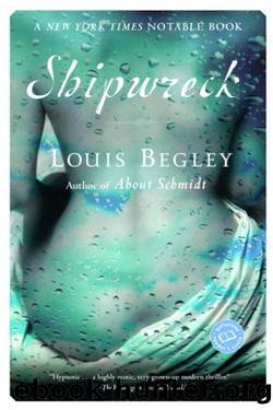 Shipwreck by Louis Begley