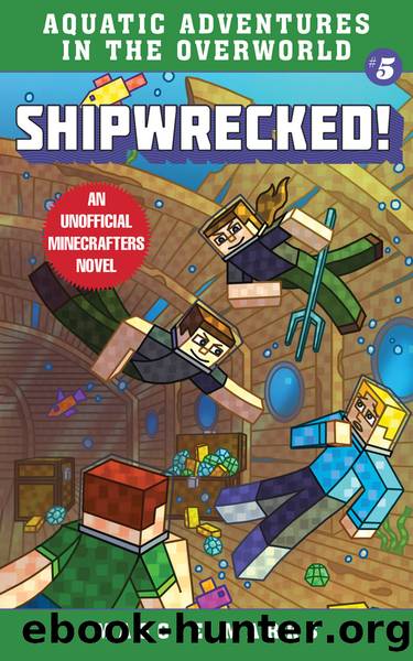 Shipwrecked! by Maggie Marks