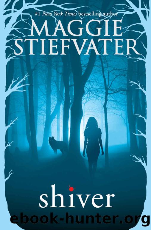 Shiver (The Wolves of Mercy Falls Book 1) by Maggie Stiefvater