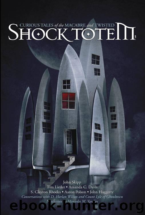 Shock Totem 3 by K. Allen Wood