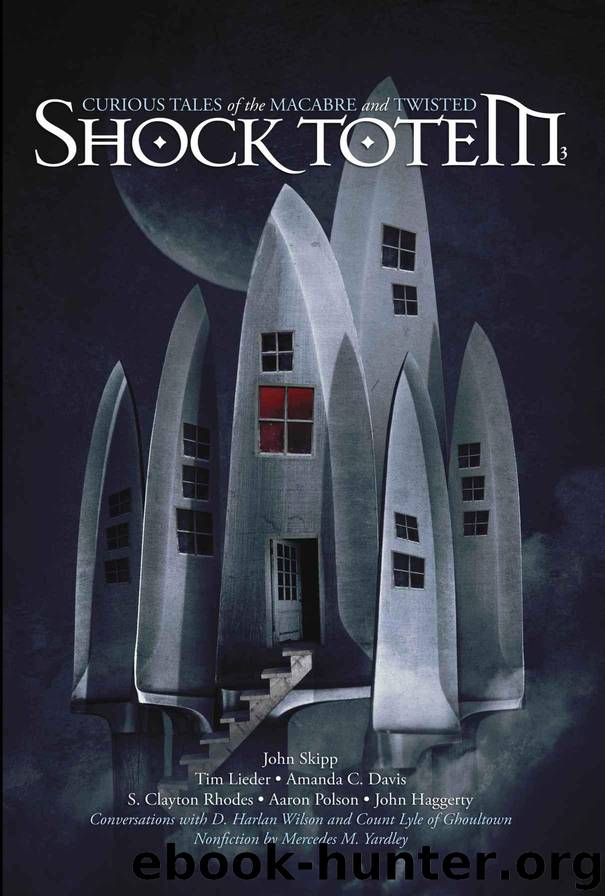 Shock Totem 3: Curious Tales of the Macabre and Twisted by Haggerty John & Totem Shock & Polson Aaron & Yardley Mercedes M. & Skipp John & Mekenzie Larsen & Rhodes S. Clayton & Pirie Steven & Davis Amanda C