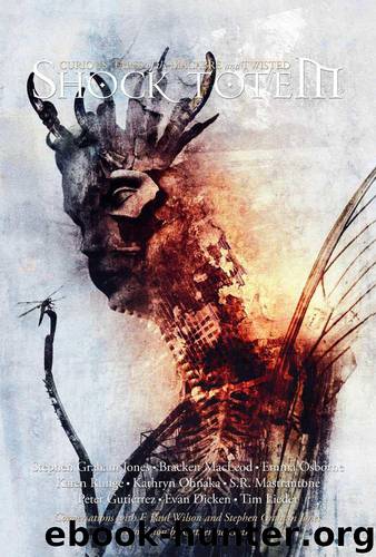 Shock Totem 9: Curious Tales of the Macabre and Twisted by K. Allen Wood