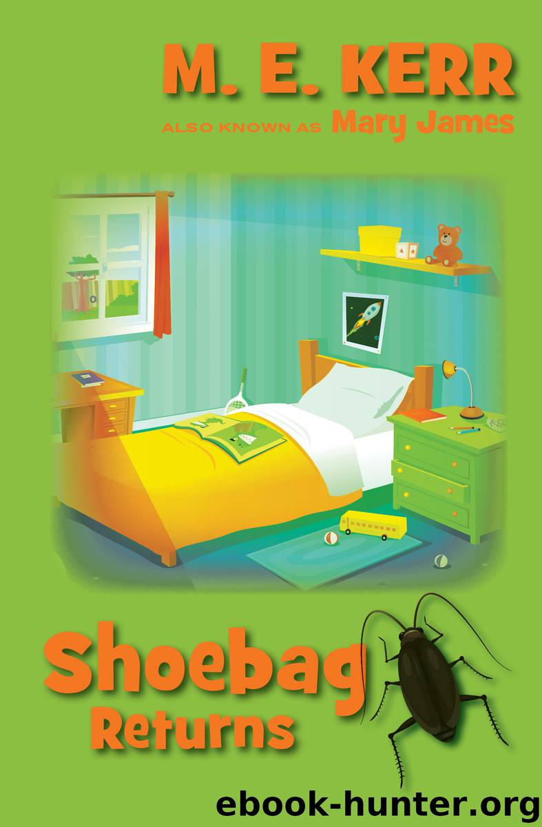 Shoebag Returns by M. E. Kerr Mary James