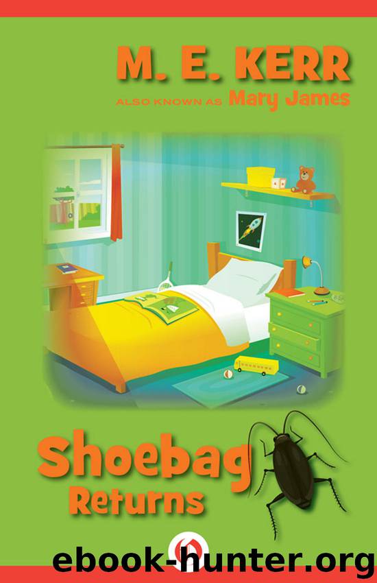 Shoebag Returns by M. E. Kerr