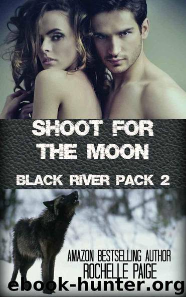 Shoot for the Moon by Paige Rochelle