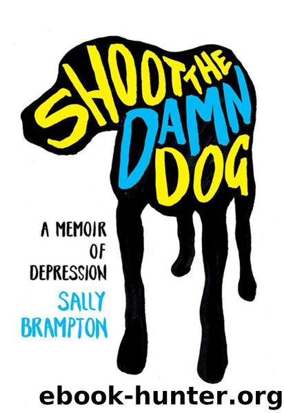 Shoot the Damn Dog: A Memoir of Depression by Sally Brampton