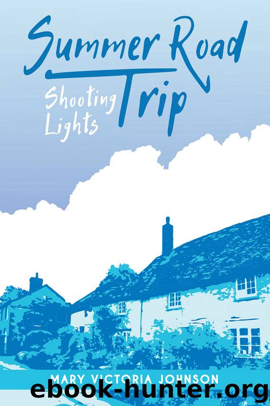 Shooting Lights by Mary Victoria Johnson