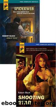 Shooting Star & Spiderweb by Bloch Robert