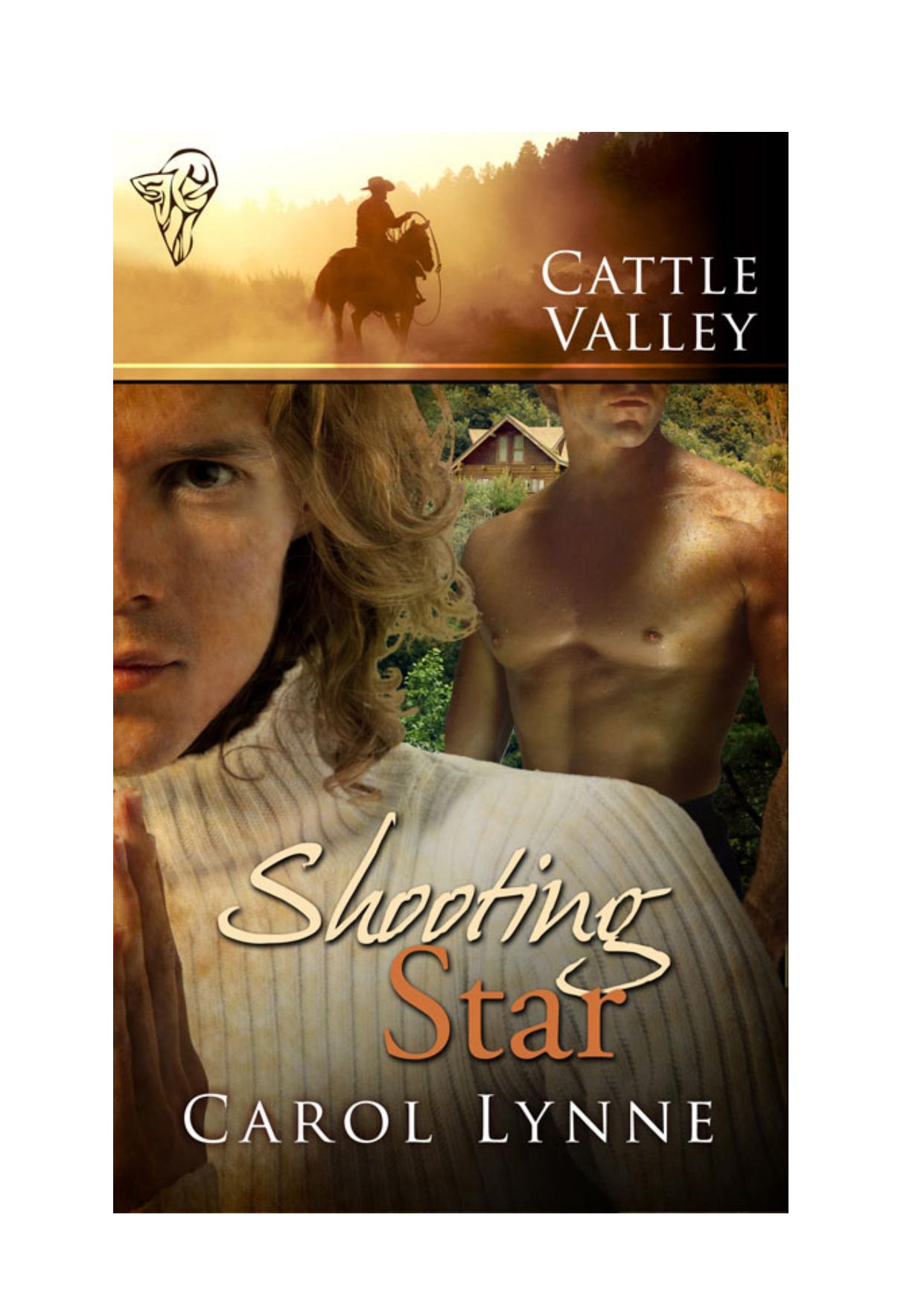 Shooting Star by Carol Lynne