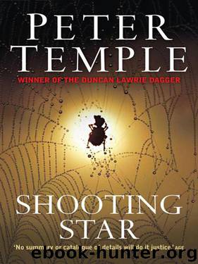 Shooting Star by Temple Peter
