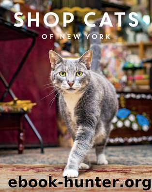 Shop Cats of New York by Arslanian Tamar