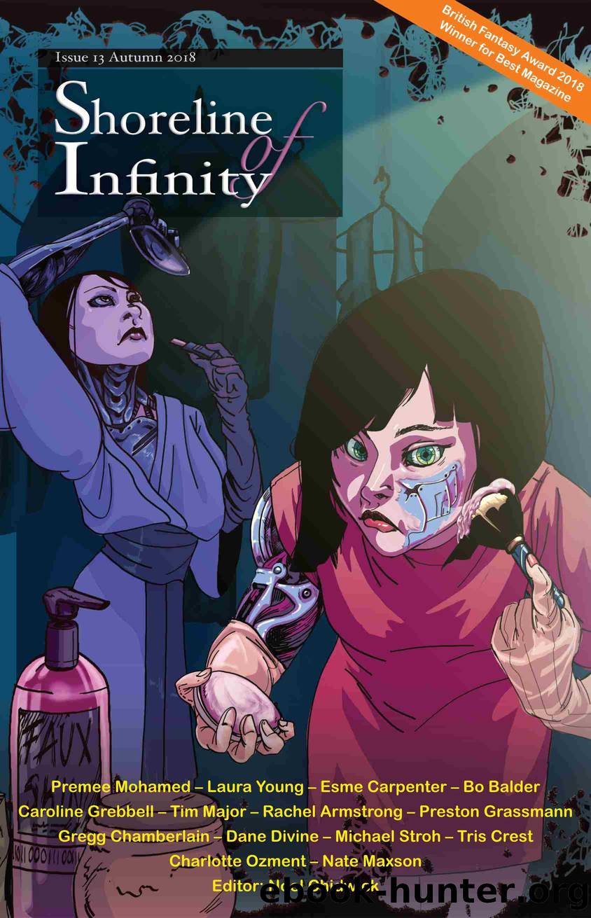Shoreline of Infinity 13 by Rachel Armstrong