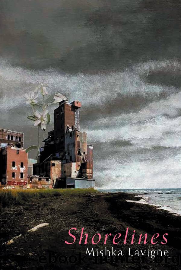 Shorelines by Mishka Lavigne