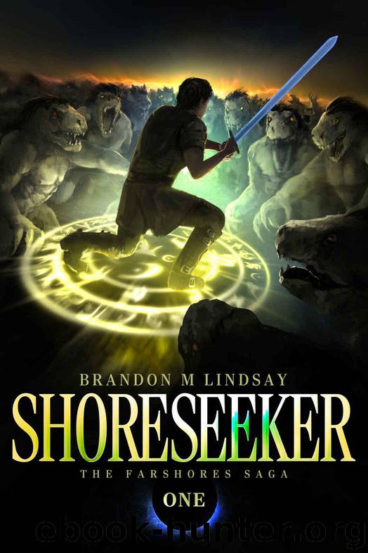 Shoreseeker by Brandon M Lindsay