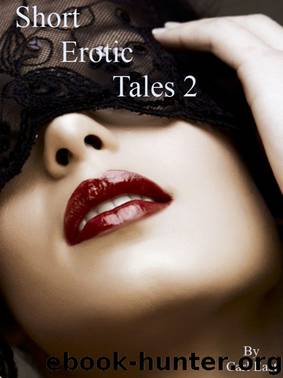 Short Erotic Tales 2 by Carl East