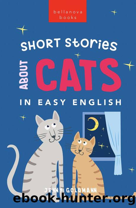 Short Stories About Cats in Easy English by Goldmann Jenny