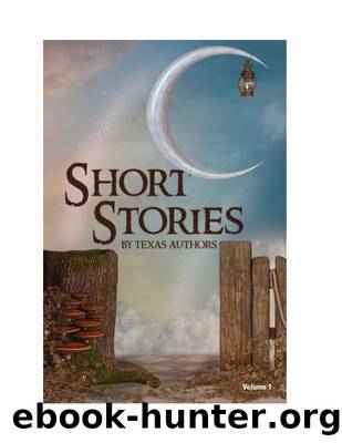 Short Stories by Texas Authors by Bert Beeb