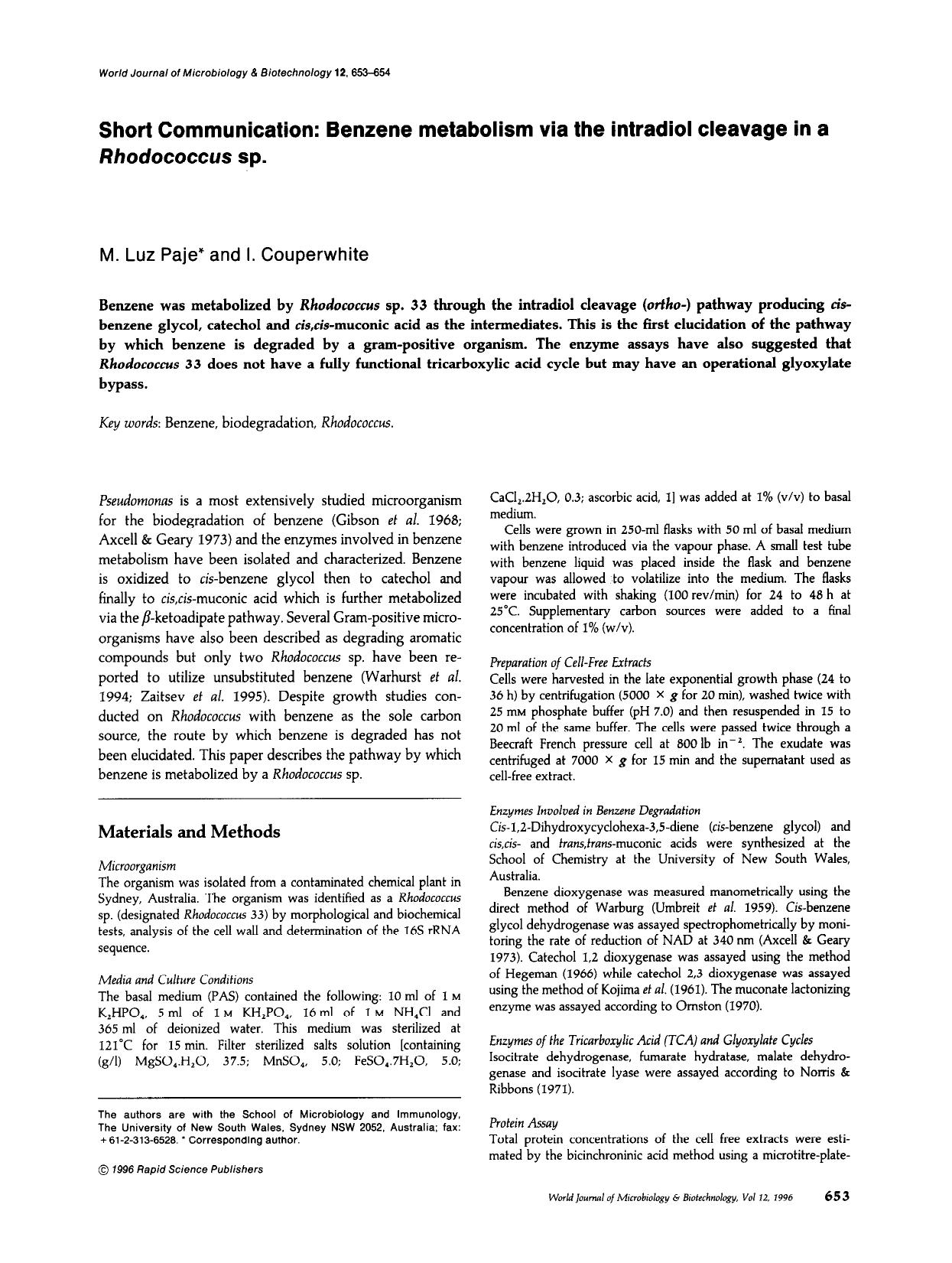 Short communication: Benzene metabolism via the intradiol cleavage in a <Emphasis Type="Italic">Rhodococcus<Emphasis> sp. by Unknown