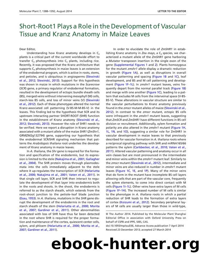 Short-Root1 Plays a Role in the Development of Vascular Tissue and Kranz Anatomy in Maize Leaves by unknow