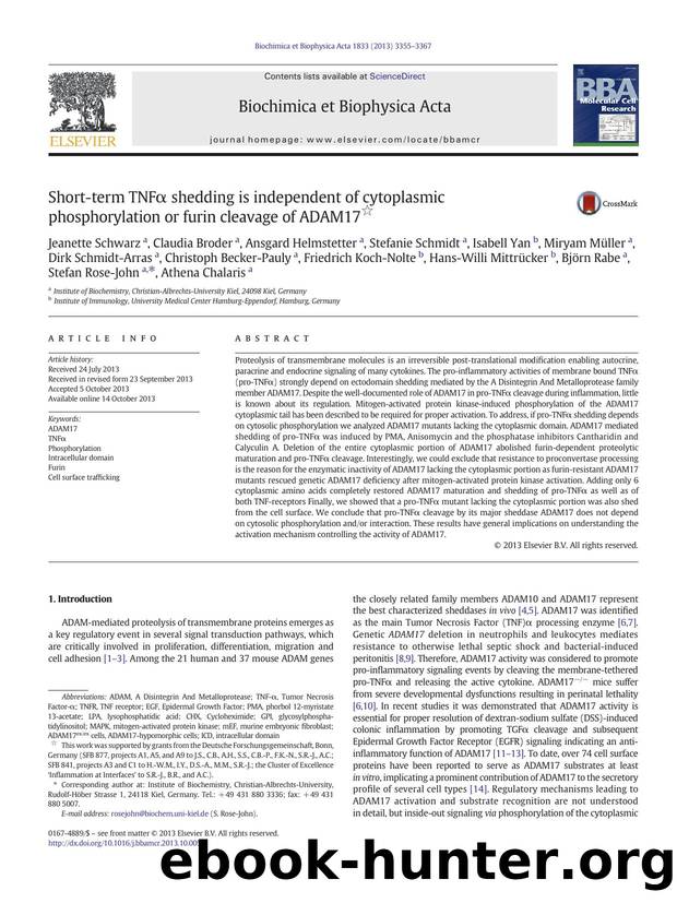 Short-term TNFÎ± shedding is independent of cytoplasmic phosphorylation or furin cleavage of ADAM17 by unknow