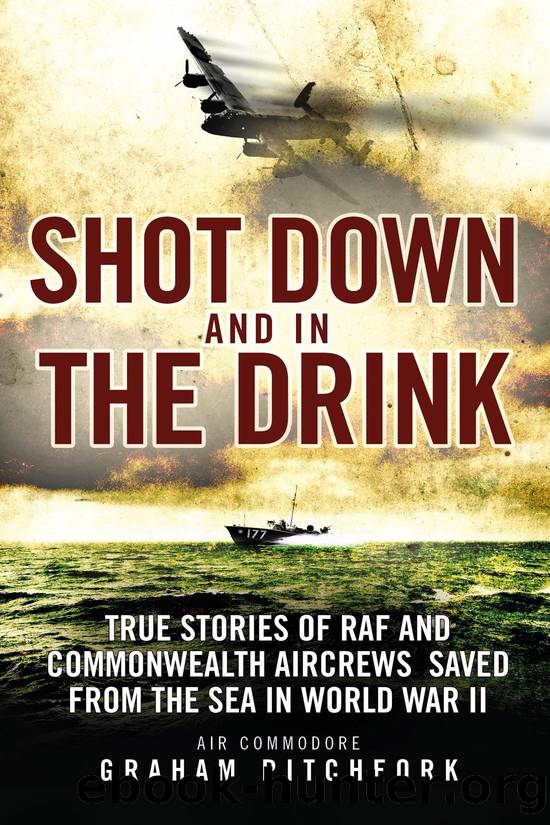 Shot Down and in the Drink by Graham Pitchfork