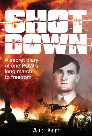 Shot Down by Alex Kerr