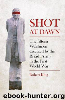 Shot at Dawn: The Fifteen Welshmen executed by the British Army in the First World War