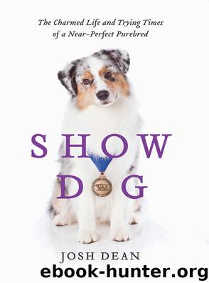 Show Dog by Josh Dean