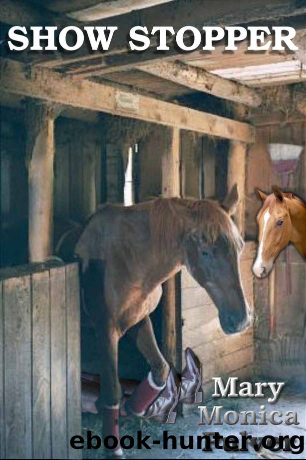 Show Stopper (a Peter Brichter mystery) by Mary Monica Pulver