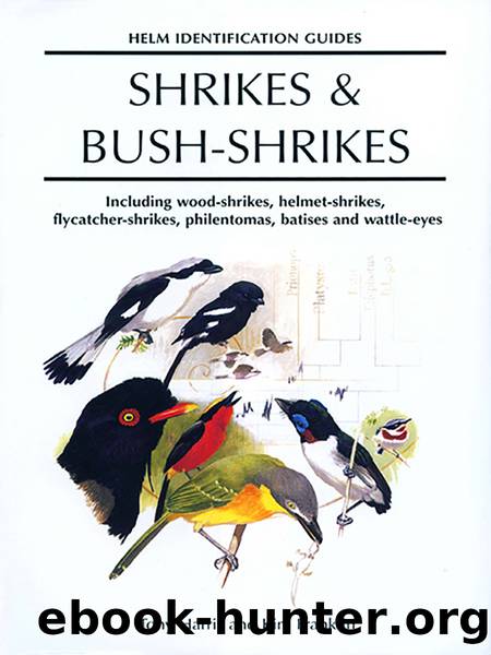 Shrikes and Bush-shrikes by Tony Harris