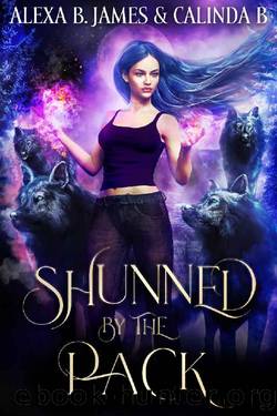 Shunned by the Pack: An Age Gap RH Wolf Romance (Rejected Mate Book 2) by Alexa B. James & Calinda B