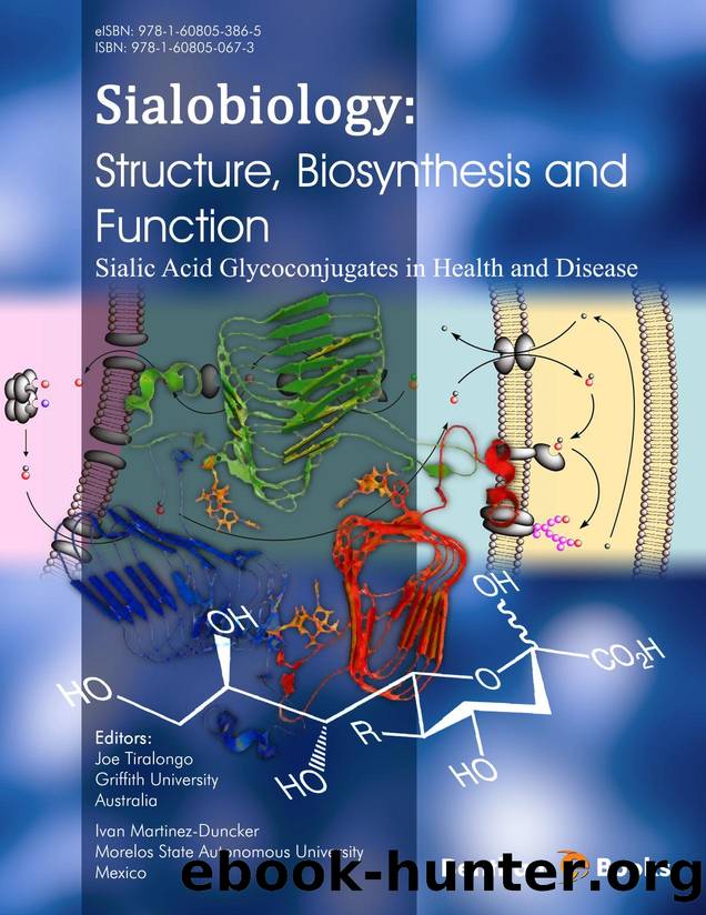 Sialobiology: Biosynthesis, Structure and Function by Joe Tiralongo; Ivan Martinez-Duncker