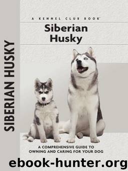 Siberian Husky by Lorna Winslette
