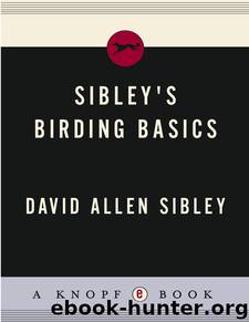 Sibley's Birding Basics by David Allen Sibley