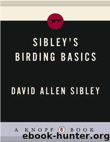 Sibley's Birding Basics by Sibley David Allen