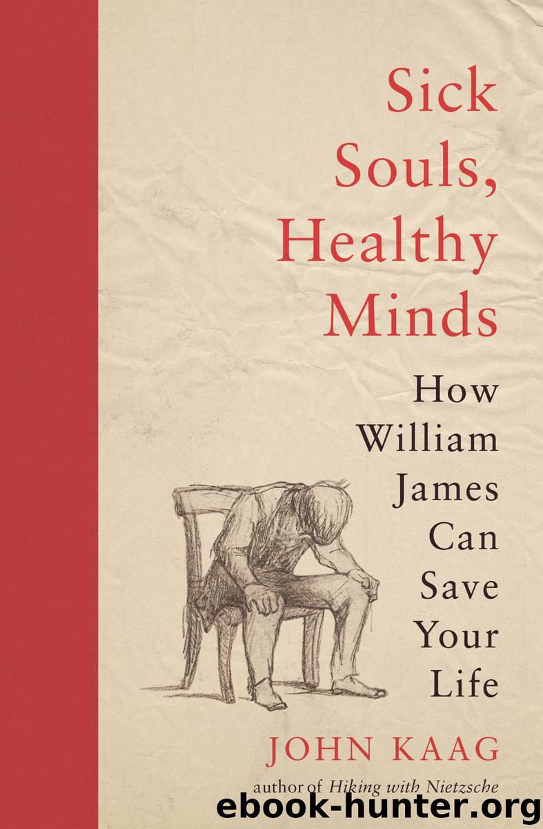 Sick Souls, Healthy Minds by John Kaag