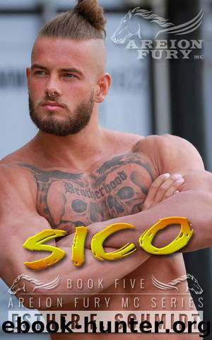 Sico (Areion Fury MC, #5) by Esther E. Schmidt