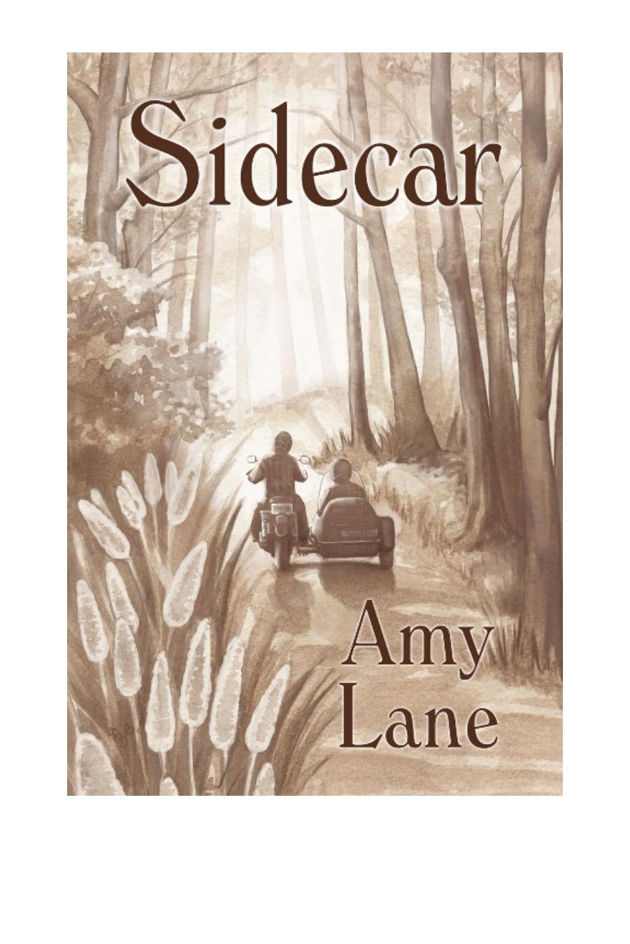 Sidecar by Amy Lane