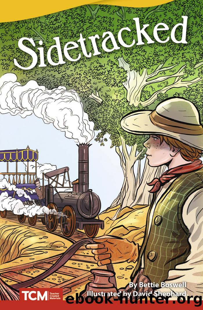 Sidetracked by Bettie Boswell