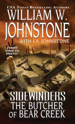 Sidewinders by William W. Johnstone