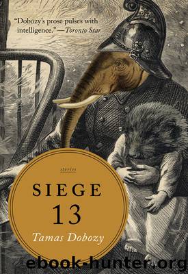 Siege 13 by Tamas Dobozy