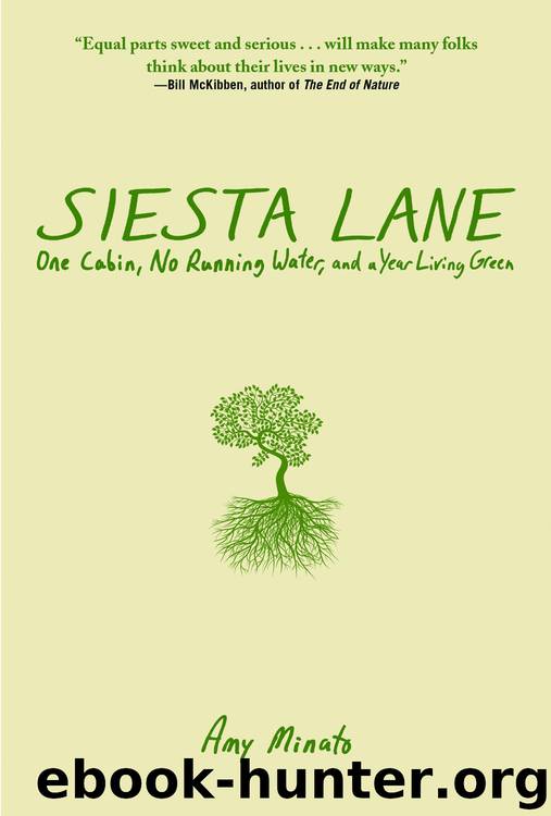 Siesta Lane by Amy Minato