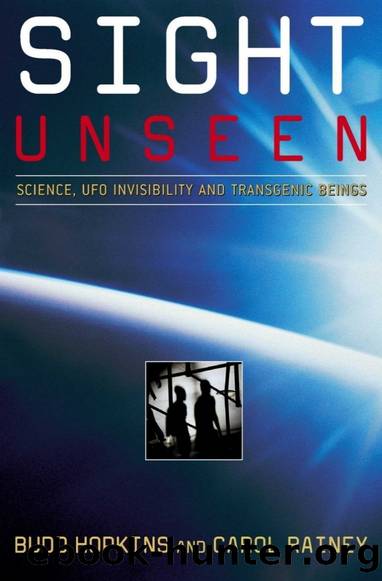 Sight Unseen by Budd Hopkins