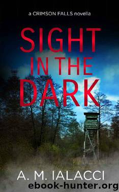 Sight in the Dark by A M Ialacci