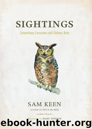 Sightings by Sam Keen