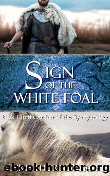 Sign of the White Foal (Arthur of the Cymry trilogy Book 1) by Chris Thorndycroft