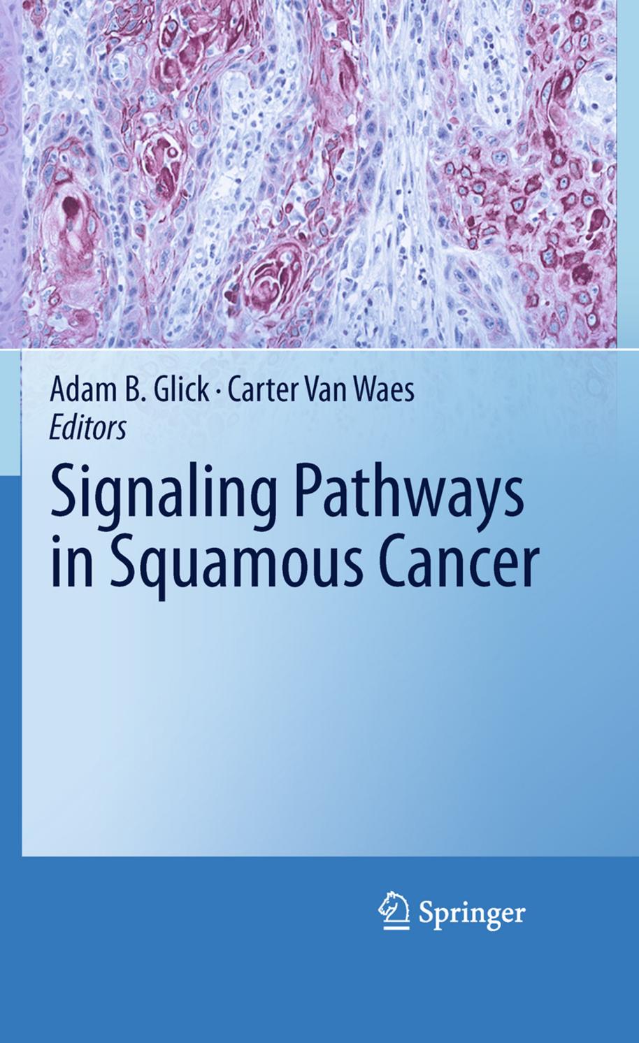 Signaling Pathways in Squamous Cancer by Barry L. Ziober Joseph O. Humtsoe (auth.) Adam B. Glick Carter Van Waes (eds.)