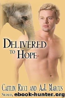 Signed, Sealed, Delivered 3 - Delivered To Hope by Ricci Caitlin & Marcus A.J