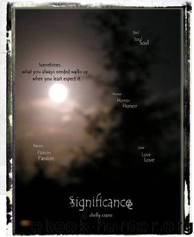 Significance by Shelly Crane
